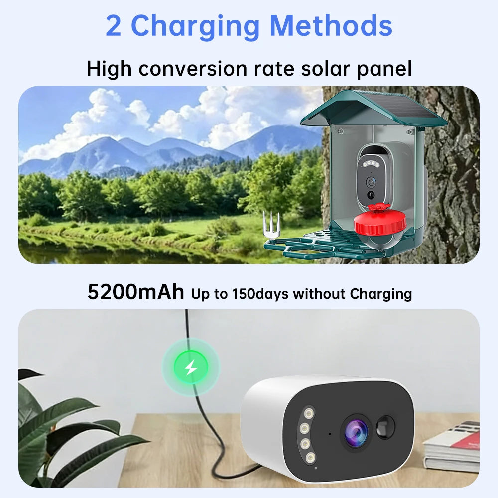 Smart Bird Feeder with HD Camera & AI Species ID