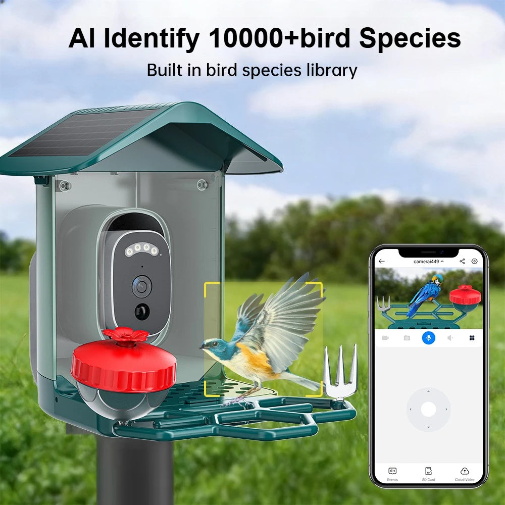 Smart Bird Feeder with HD Camera & AI Species ID