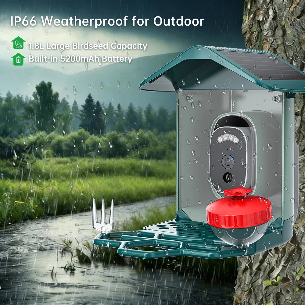 Smart Bird Feeder with HD Camera & AI Species ID