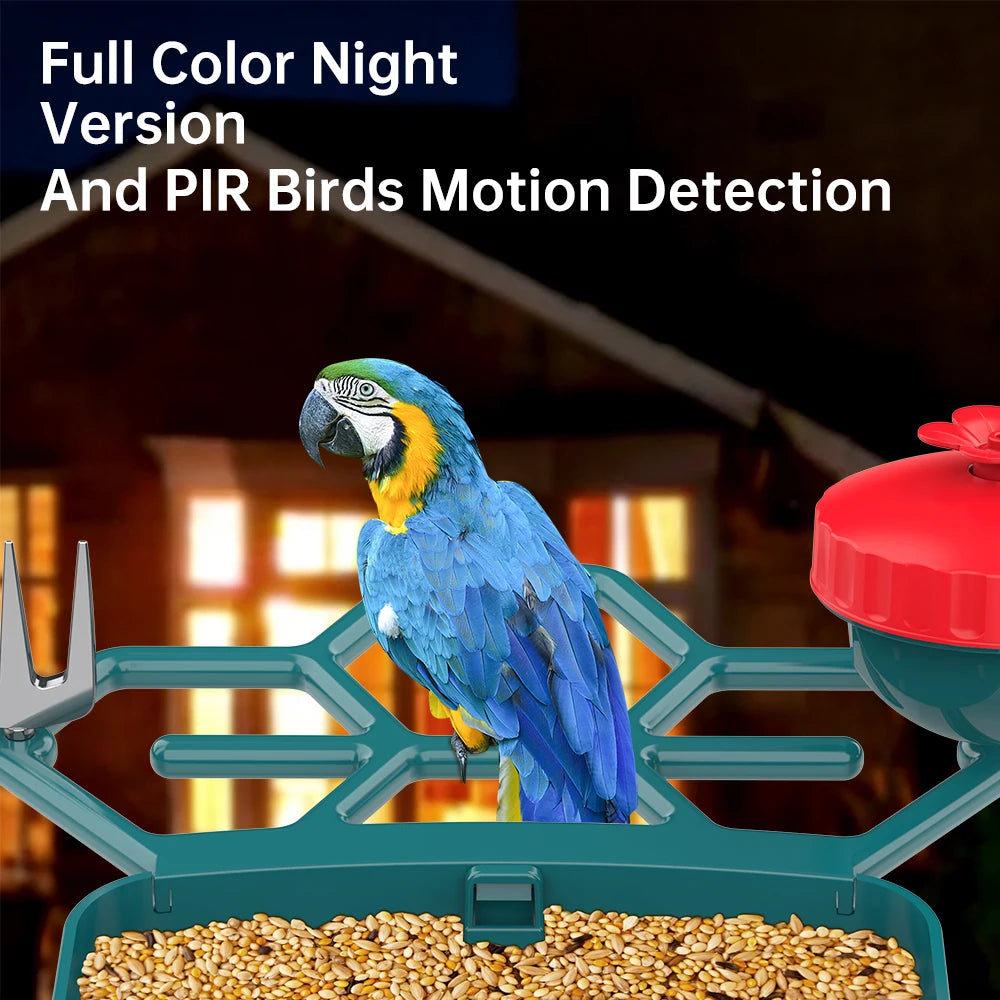 Smart Bird Feeder with HD Camera & AI Species ID