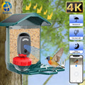 Smart Bird Feeder with HD Camera & AI Species ID